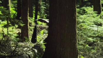 Screenshot 2 from The Kill Hole (Full Movie)