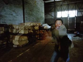 Screenshot 3 from The King of the Kickboxers (Full Movie)