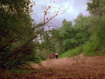 Screenshot 3 from The King's Guard (Full Movie)