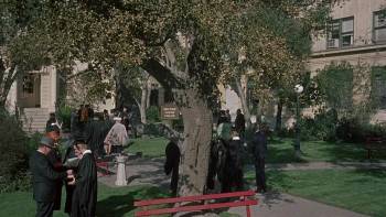 Screenshot 1 from The Ladies Man (Full Movie)
