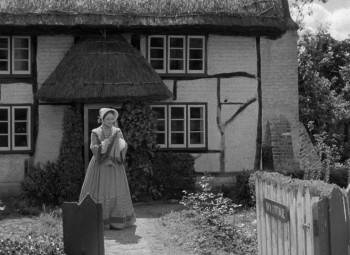Screenshot 1 from The Lady with a Lamp (Full Movie)