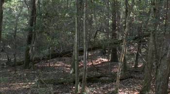 Screenshot 1 from The Last Confederate: The Story of Robert Adams (Full Movie)