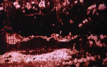 Screenshot 1 from The Last of England (Full Movie)