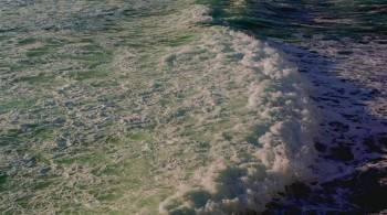 Screenshot 2 from The Last Reef (Full Movie)