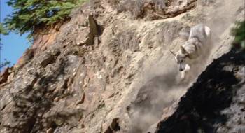 Screenshot 3 from The Last Trapper (Full Movie)