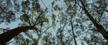Screenshot 1 from The Legend of Ben Hall (Full Movie)