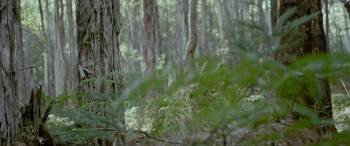 Screenshot 2 from The Legend of Ben Hall (Full Movie)