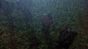 Screenshot 1 from The Legend of Gingko (Full Movie)