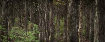 Screenshot 1 from The Legend of Hell's Gate: An American Conspiracy (Full Movie)