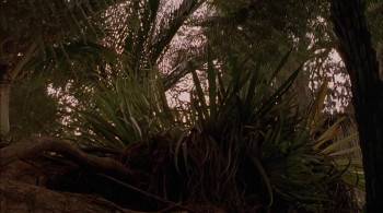 Screenshot 3 from The Legend of Johnny Lingo (Full Movie)