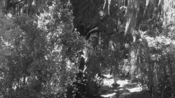Screenshot 1 from The Legend of Kate Kensington (Full Movie)