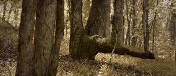 Screenshot 1 from The Legend of Lake Hollow (Full Movie)