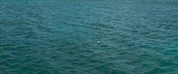 Screenshot 3 from The Little Mermaid (Full Movie)
