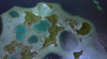 Screenshot 1 from The Living Sea (Full Movie)
