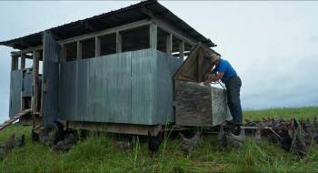 Screenshot 2 from The Lunatic Farmer (Full Movie)