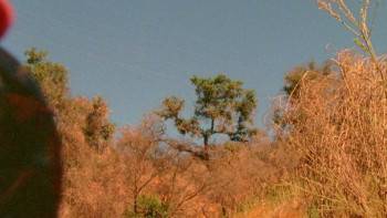 Screenshot 1 from The Male Gaze: Celluloid Dreams (Full Movie)