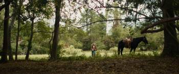 Screenshot 1 from The Man in the White Van (Full Movie)