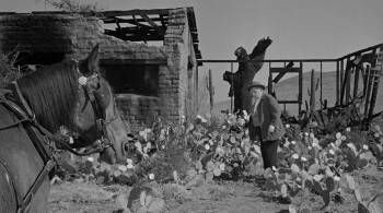 Screenshot 3 from The Man Who Shot Liberty Valance (Full Movie)