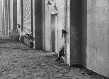 Screenshot 1 from The Men (Full Movie)
