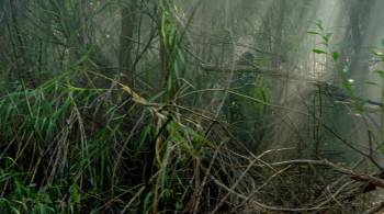 Screenshot 2 from The Mercenary (Full Movie)