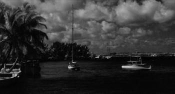Screenshot 2 from The Miami Story (Full Movie)