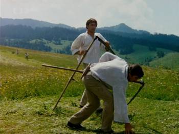 Screenshot 3 from The Millennial Bee (Full Movie)