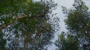 Screenshot 1 from The Mission (Full Movie)