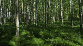 Screenshot 2 from The Mission (Full Movie)