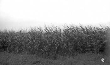 Screenshot 3 from The Moromete Family (Full Movie)