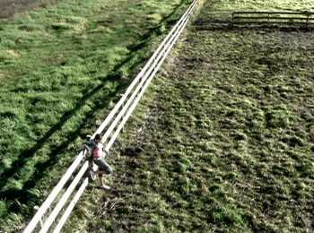 Screenshot 1 from The Muppets' Wizard of Oz (Full Movie)