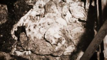 Screenshot 3 from The Murder Network (Full Movie)