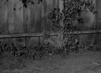 Screenshot 2 from The Noose Hangs High (Full Movie)
