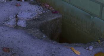 Screenshot 2 from The Nut Job (Full Movie)