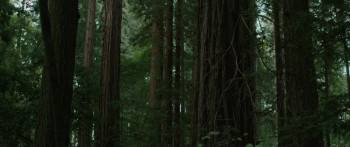 Screenshot 1 from The Outlaws (Full Movie)