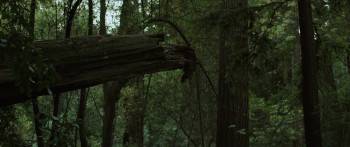 Screenshot 2 from The Outlaws (Full Movie)