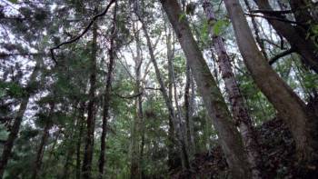 Screenshot 1 from The Outsider (Full Movie)
