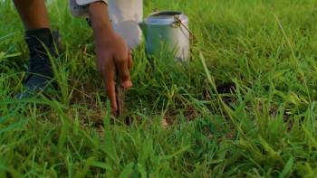 Screenshot 2 from The Peanut Man (Full Movie)