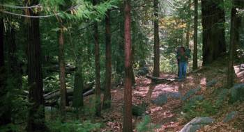 Screenshot 2 from The Prey (Full Movie)