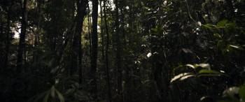 Screenshot 1 from The Prey (Full Movie)