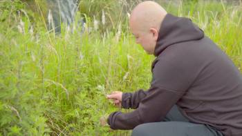 Screenshot 2 from The Pursuit of Perfection (Full Movie)
