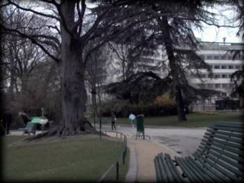 Screenshot 2 from The Queen of Hearts (Full Movie)