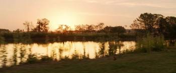 Screenshot 1 from The Quietude (Full Movie)