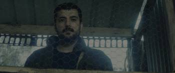 Screenshot 3 from The Rooster (Full Movie)