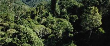 Screenshot 1 from The Ruins (Full Movie)