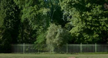 Screenshot 1 from The Rule of Jenny Pen (Full Movie)