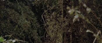 Screenshot 2 from The Sandlot (Full Movie)