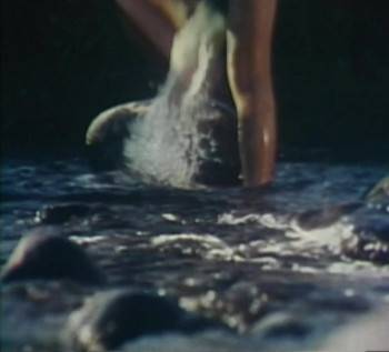Screenshot 3 from The Searching Eye (Full Movie)