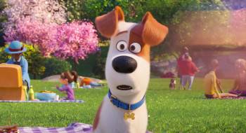 Screenshot 2 from The Secret Life of Pets 2 (Full Movie)