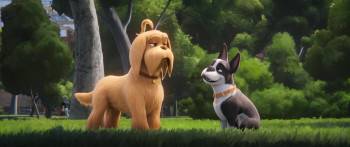 Screenshot 3 from The Secret Life of Pets (Full Movie)