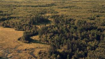 Screenshot 1 from The Seventh Fire (Full Movie)